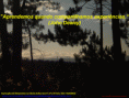 /album/galeria-de-fotos/aprender-exp-gif/